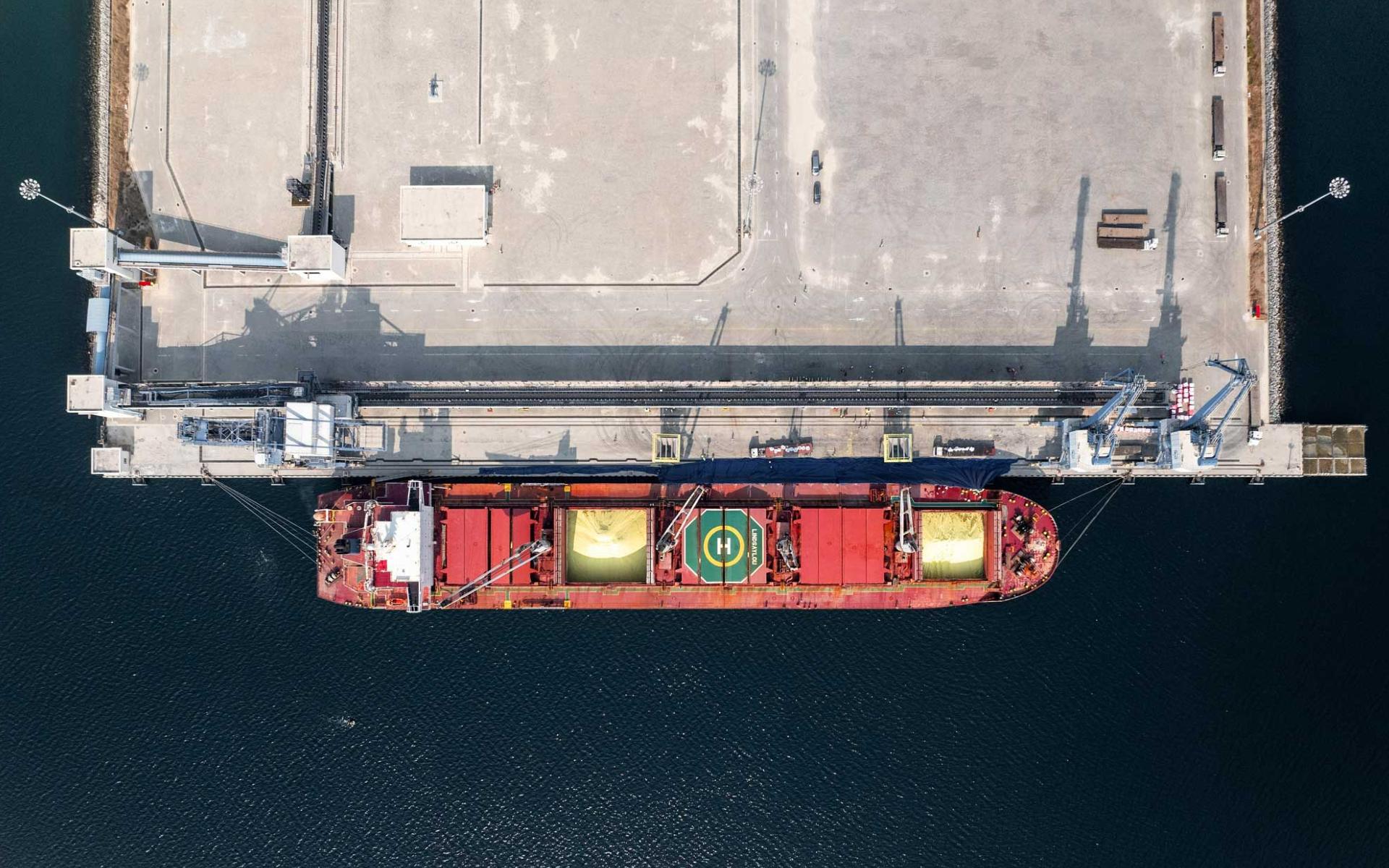 Bulk minerals and containerized cargo at Manzanillo Port